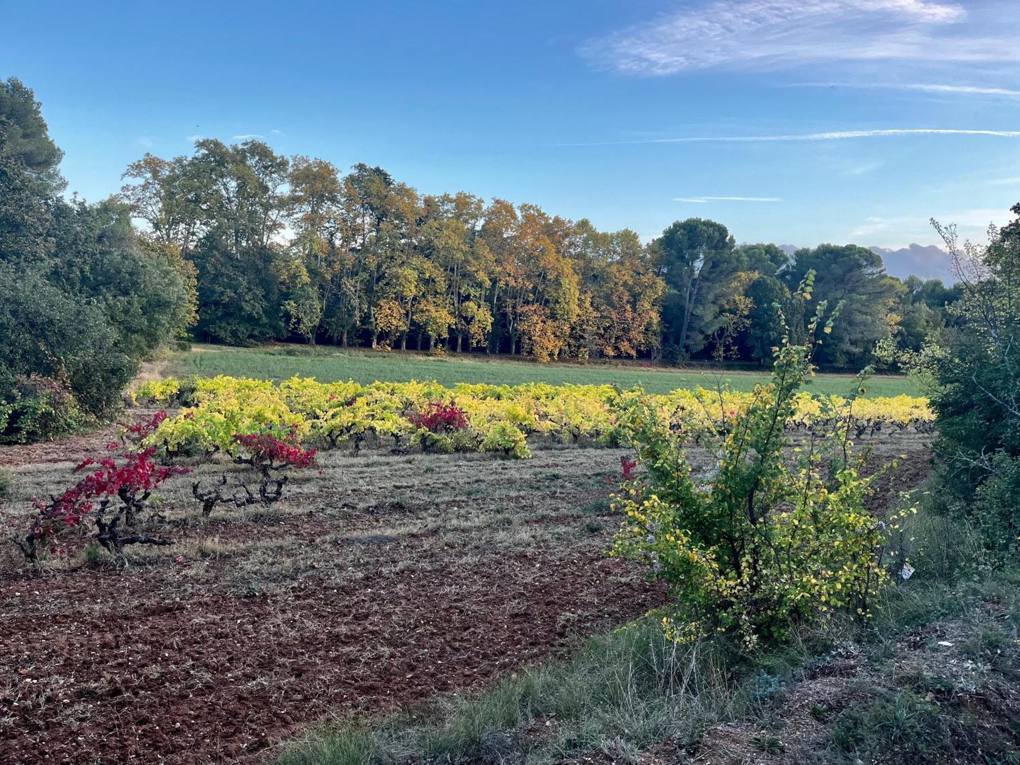 אקס-אן-פרובאנס Maison Provencale Au Calme De La Campagne Avec Jacuzzi מראה חיצוני תמונה